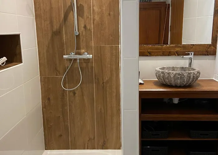 Le Petit Migrateur * Aucun